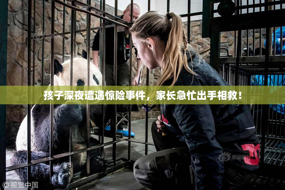 孩子深夜遭遇惊险事件，家长急忙出手相救！