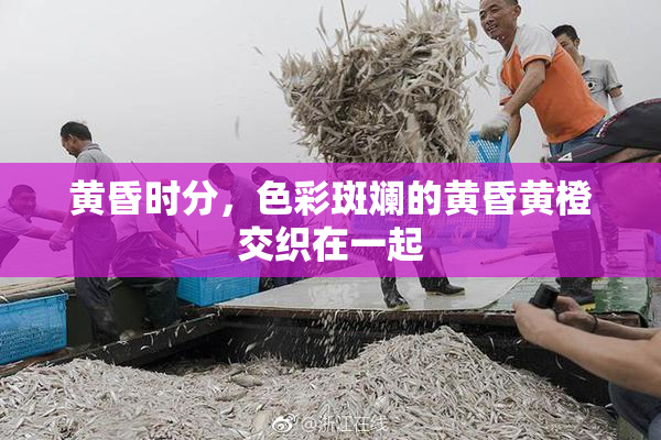 黄昏时分，色彩斑斓的黄昏黄橙交织在一起