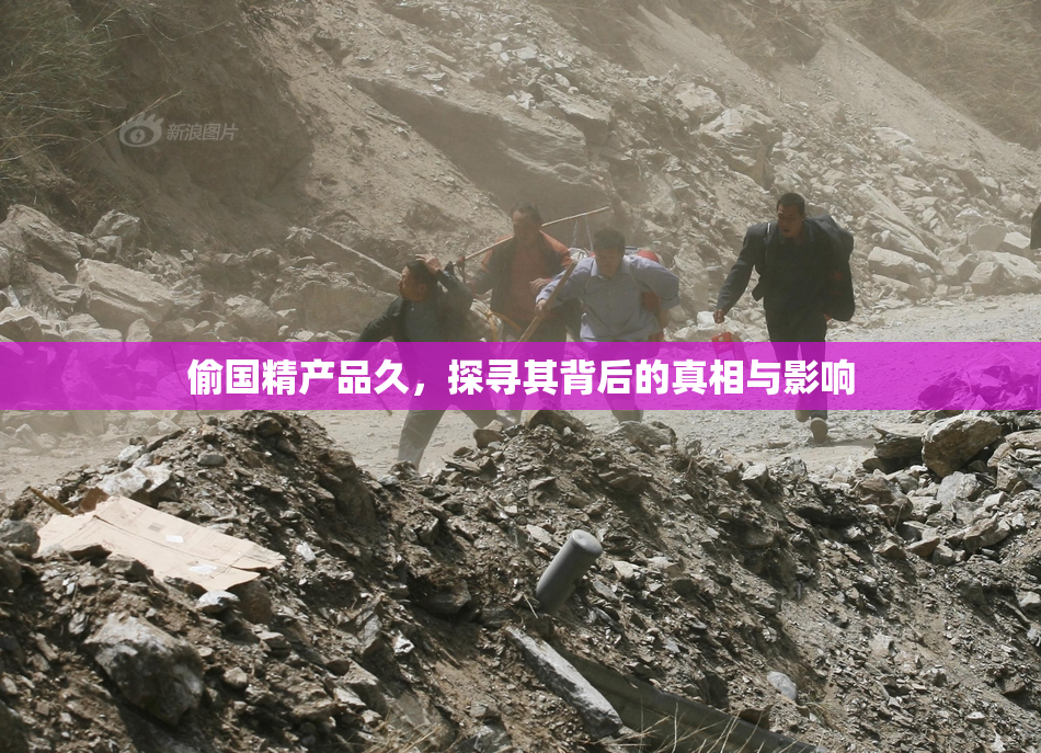 偷国精产品久，探寻其背后的真相与影响