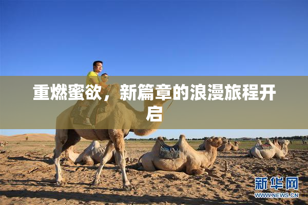 重燃蜜欲，新篇章的浪漫旅程开启