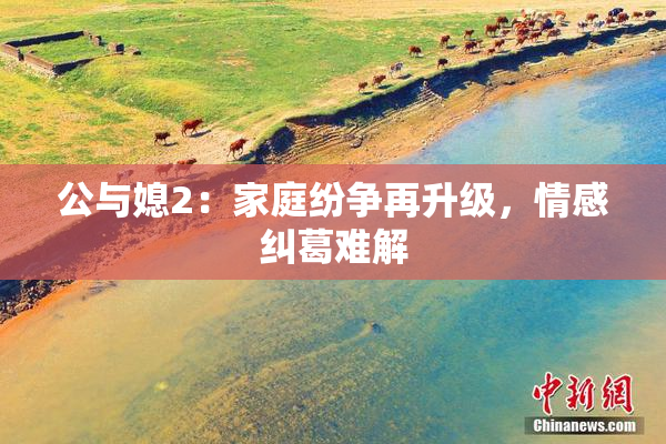 公与媳2：家庭纷争再升级，情感纠葛难解