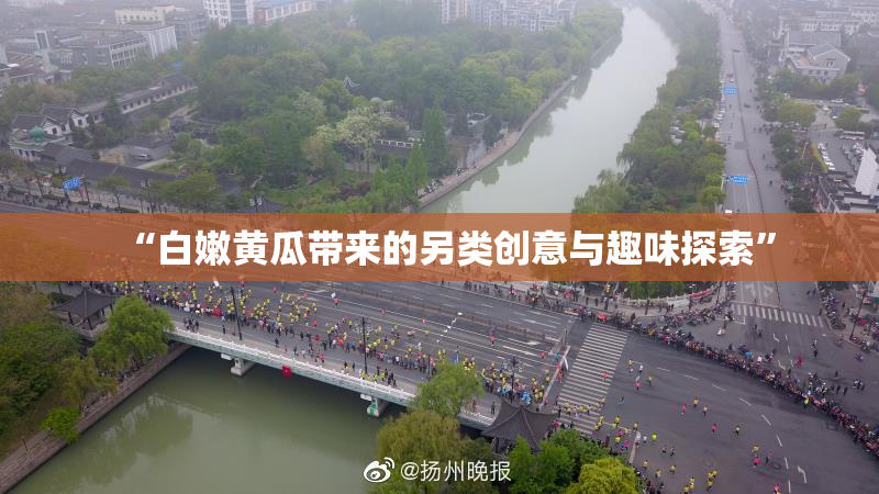 “白嫩黄瓜带来的另类创意与趣味探索”