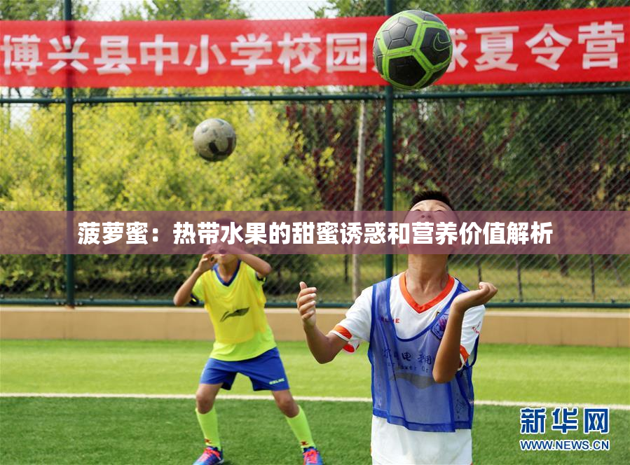 菠萝蜜：热带水果的甜蜜诱惑和营养价值解析