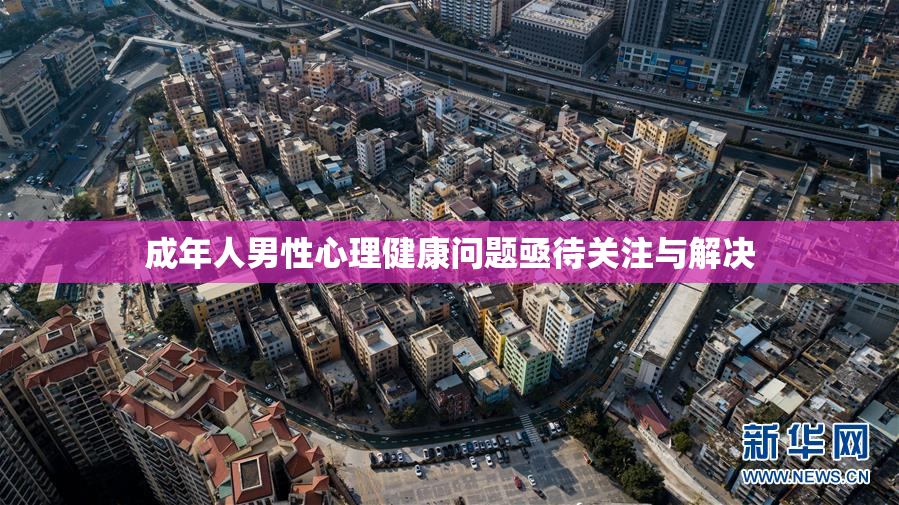 成年人男性心理健康问题亟待关注与解决