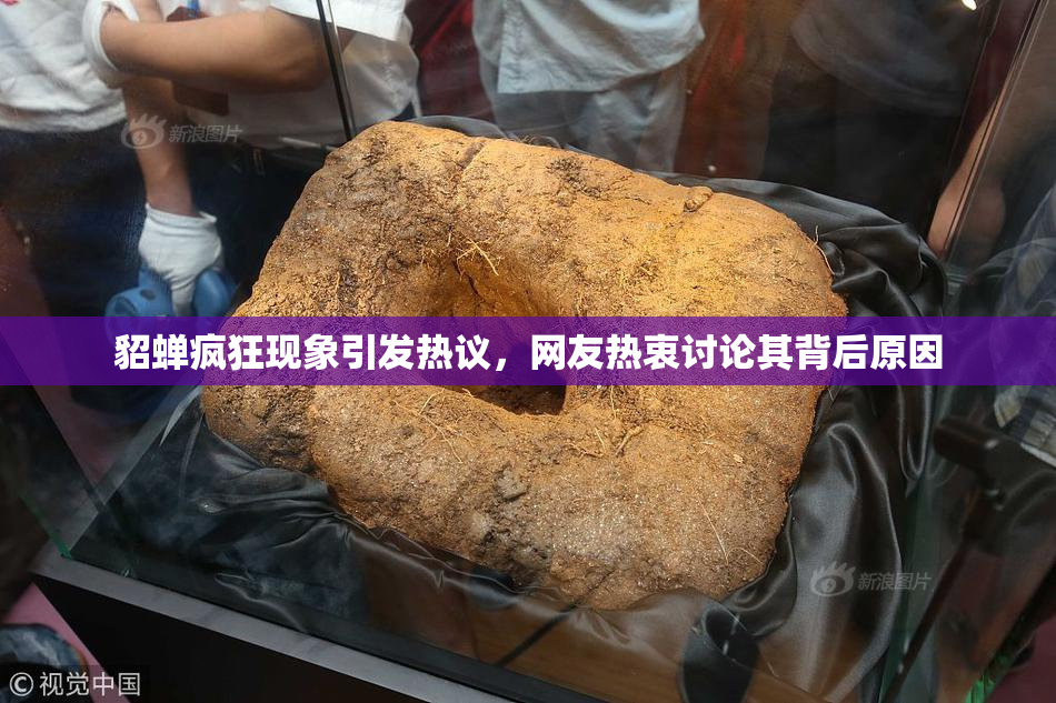 貂蝉疯狂现象引发热议，网友热衷讨论其背后原因