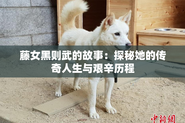 藤女黑则武的故事：探秘她的传奇人生与艰辛历程
