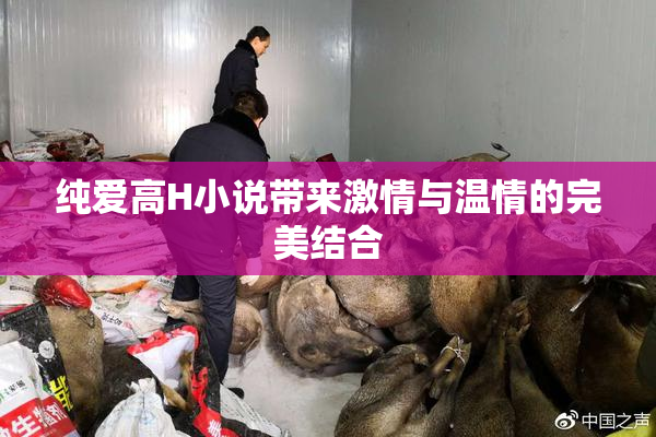 纯爱高H小说带来激情与温情的完美结合
