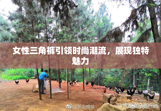 女性三角裤引领时尚潮流，展现独特魅力