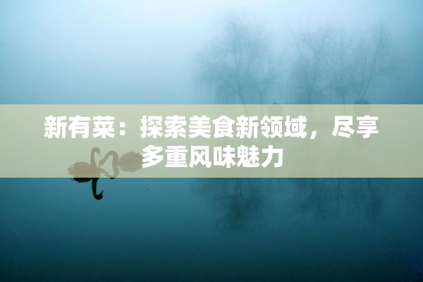 新有菜：探索美食新领域，尽享多重风味魅力
