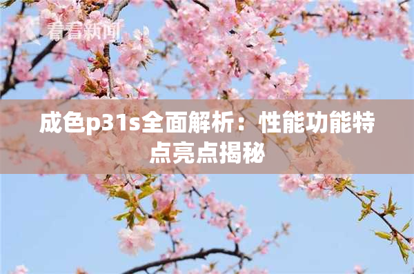 成色p31s全面解析：性能功能特点亮点揭秘