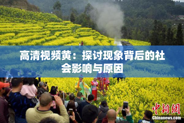 高清视频黄：探讨现象背后的社会影响与原因