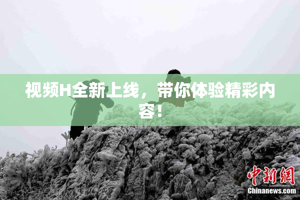 视频H全新上线，带你体验精彩内容！