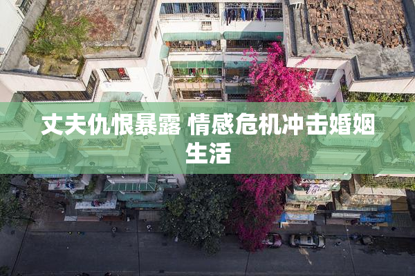 丈夫仇恨暴露 情感危机冲击婚姻生活