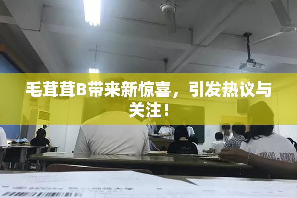 毛茸茸B带来新惊喜，引发热议与关注！