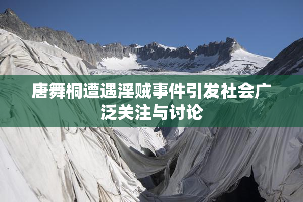 唐舞桐遭遇淫贼事件引发社会广泛关注与讨论