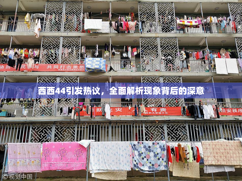 西西44引发热议，全面解析现象背后的深意