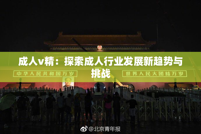 成人v精：探索成人行业发展新趋势与挑战