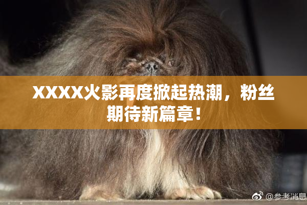 XXXX火影再度掀起热潮，粉丝期待新篇章！