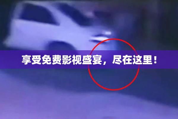 享受免费影视盛宴，尽在这里！