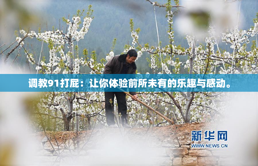 调教91打屁：让你体验前所未有的乐趣与感动。