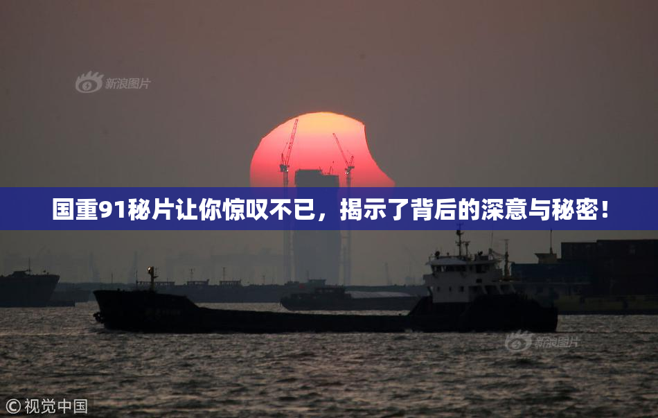 国重91秘片让你惊叹不已，揭示了背后的深意与秘密！