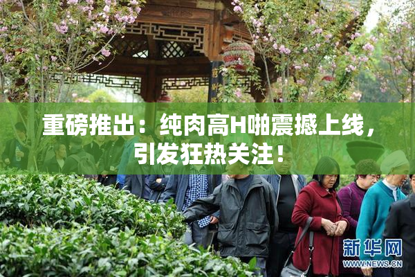 重磅推出：纯肉高H啪震撼上线，引发狂热关注！