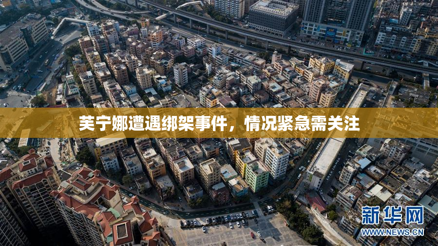 芙宁娜遭遇绑架事件，情况紧急需关注