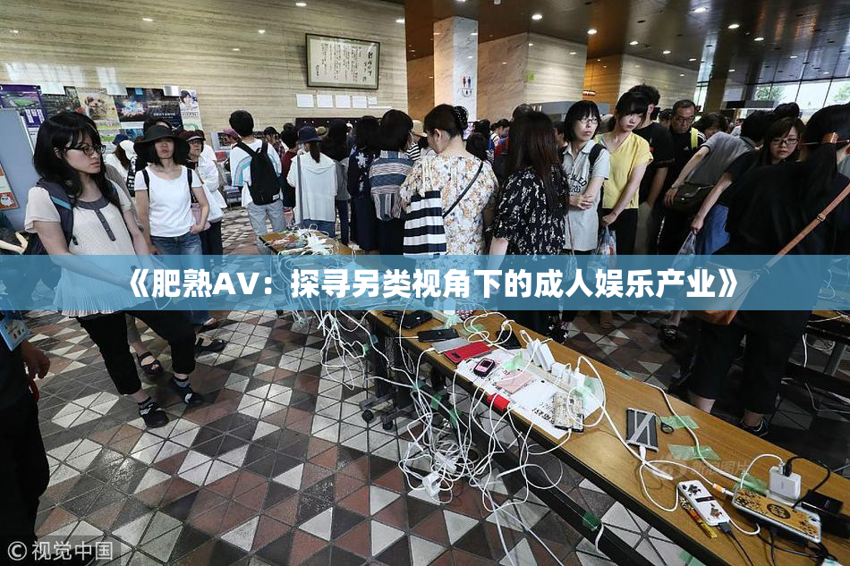 《肥熟AV：探寻另类视角下的成人娱乐产业》