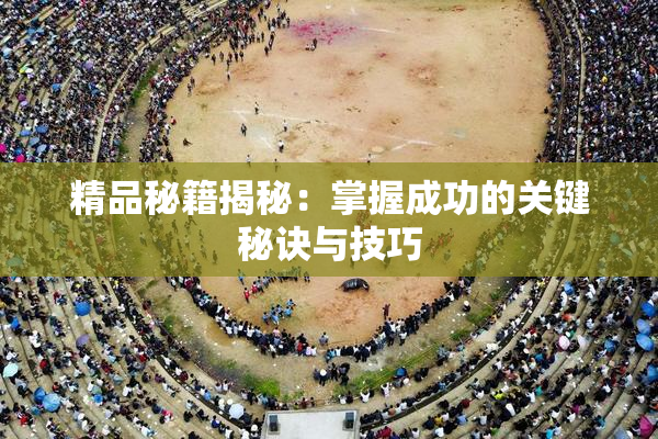 精品秘籍揭秘：掌握成功的关键秘诀与技巧
