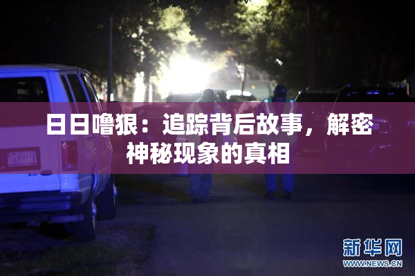 日日噜狠：追踪背后故事，解密神秘现象的真相