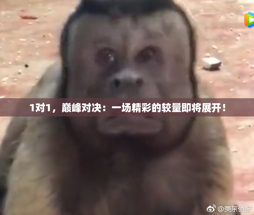 1对1，巅峰对决：一场精彩的较量即将展开！