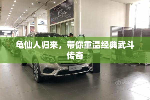 龟仙人归来，带你重温经典武斗传奇