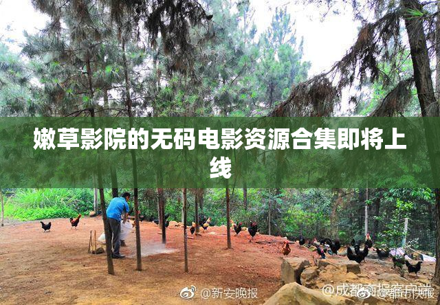 嫩草影院的无码电影资源合集即将上线