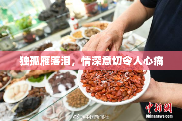 独孤雁落泪，情深意切令人心痛