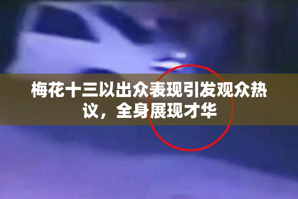 梅花十三以出众表现引发观众热议，全身展现才华