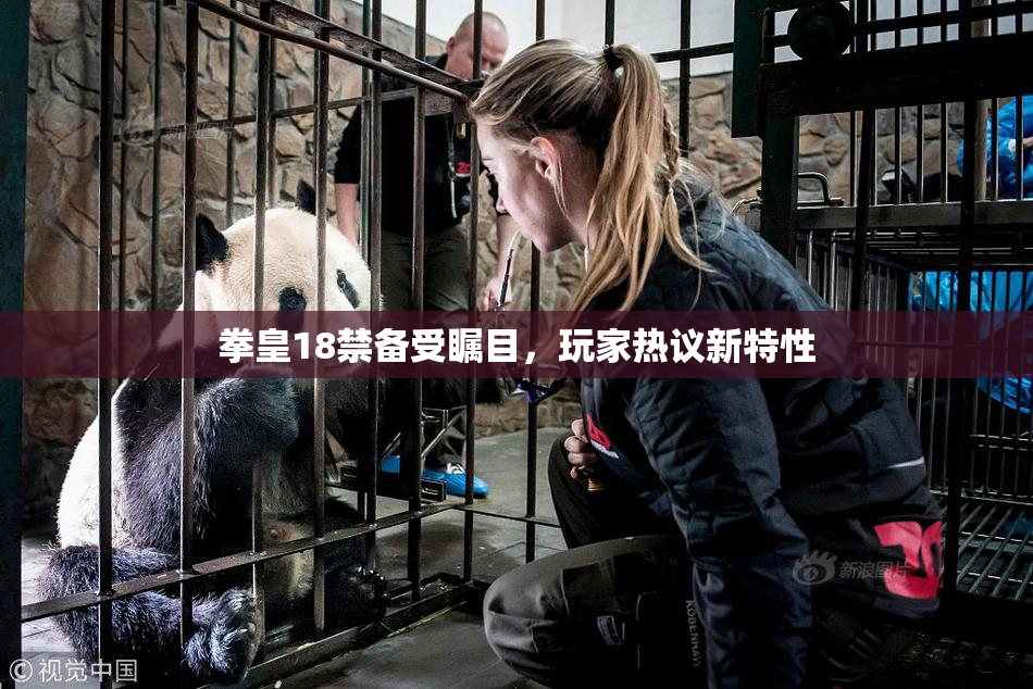 拳皇18禁备受瞩目，玩家热议新特性