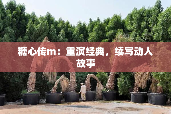 糖心传m：重演经典，续写动人故事