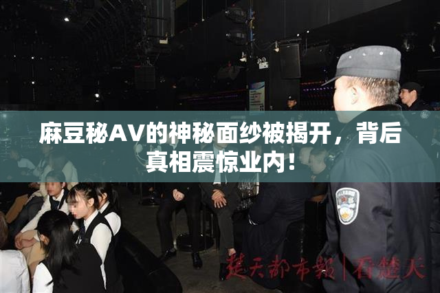 麻豆秘AV的神秘面纱被揭开，背后真相震惊业内！