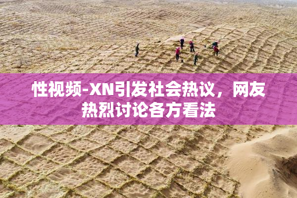 性视频-XN引发社会热议，网友热烈讨论各方看法