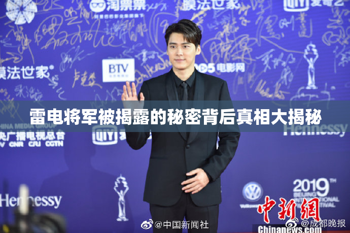雷电将军被揭露的秘密背后真相大揭秘