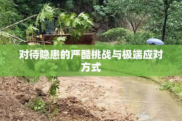 对待隐患的严酷挑战与极端应对方式