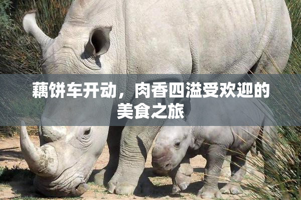 藕饼车开动，肉香四溢受欢迎的美食之旅