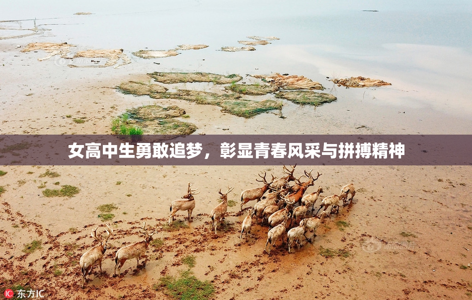 女高中生勇敢追梦，彰显青春风采与拼搏精神