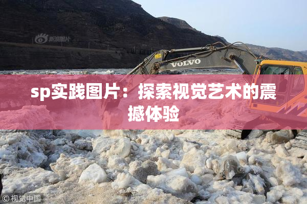 sp实践图片：探索视觉艺术的震撼体验