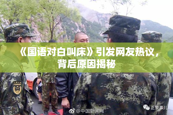 《国语对白叫床》引发网友热议，背后原因揭秘