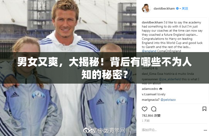 男女又爽，大揭秘！背后有哪些不为人知的秘密？