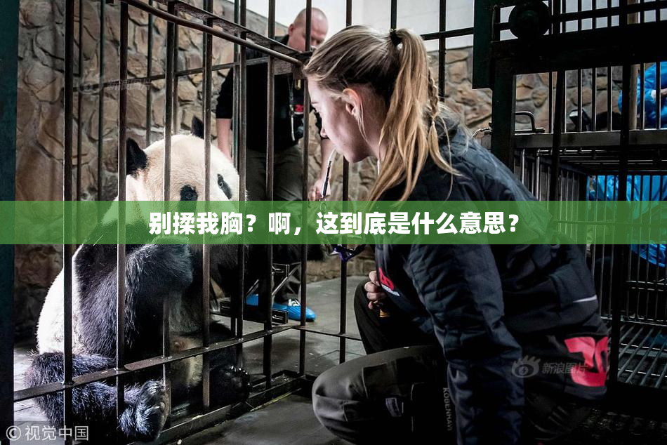 别揉我胸？啊，这到底是什么意思？