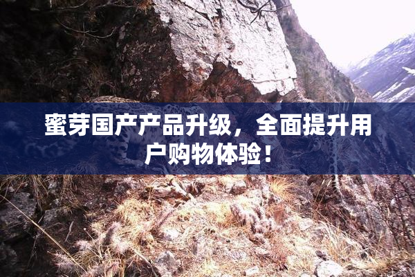 蜜芽国产产品升级，全面提升用户购物体验！