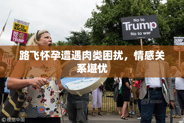 路飞怀孕遭遇肉类困扰，情感关系堪忧