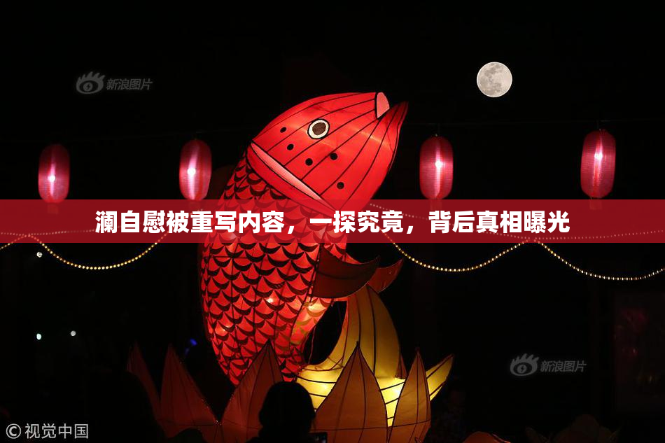 澜自慰被重写内容，一探究竟，背后真相曝光